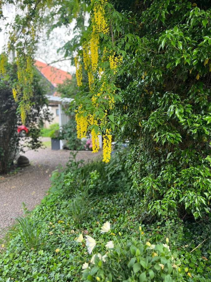 Villa Solhaga Kullahalvoen Jonstorp Exterior foto